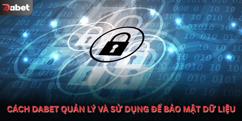 Cách chính sách bảo mật Dabet quản lý và sử dụng dữ liệu